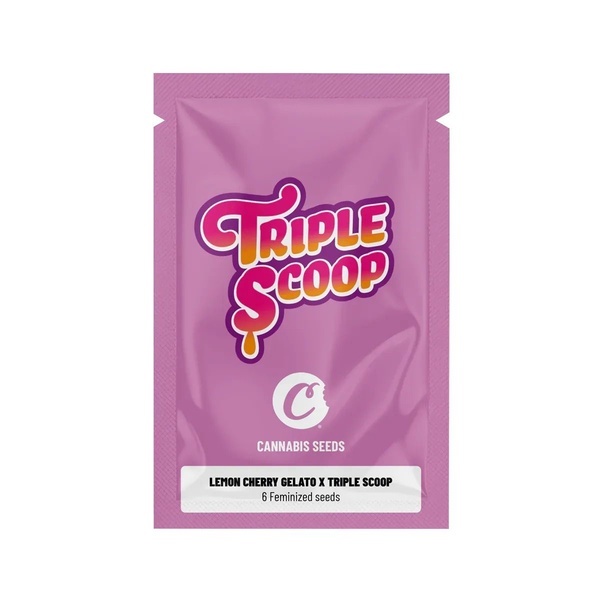 Lemon Cherry Gelato x Triple Scoop (Cookies) feminizowane