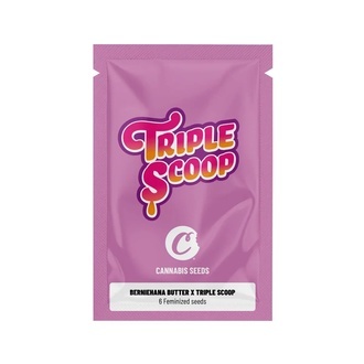 Berniehana Butter x Triple Scoop (Cookies) feminizowane