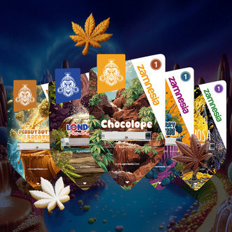 Zestaw Sugar Valley Automat (Zamnesia Seeds) feminizowany