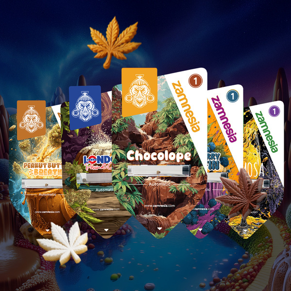 Zestaw Sugar Valley Automat (Zamnesia Seeds) feminizowany