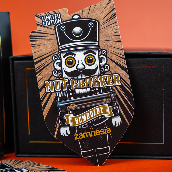 Nut Cracker (Humboldt Seeds x Zamnesia Seeds) feminizowane