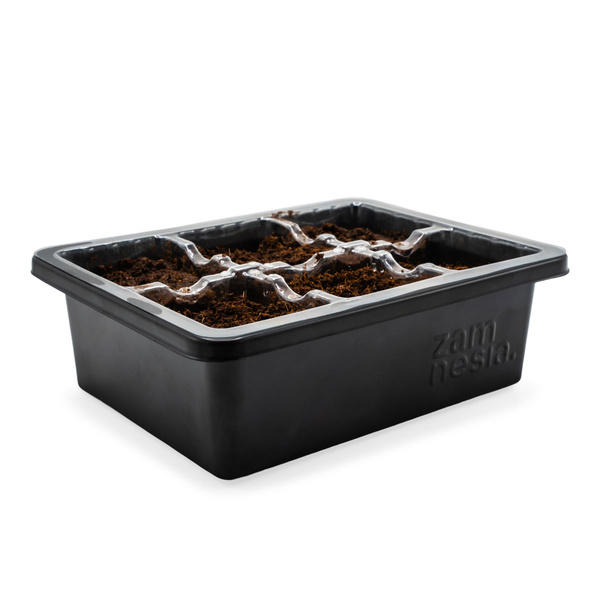 Zestaw do rozsady i kiełkowania (Zamnesia)