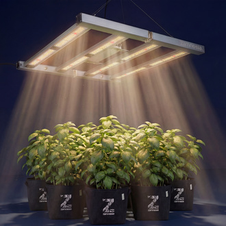 Growbox zestaw 120×120 (Zamnesia)
