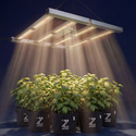 Growbox zestaw 120×120 (Zamnesia)