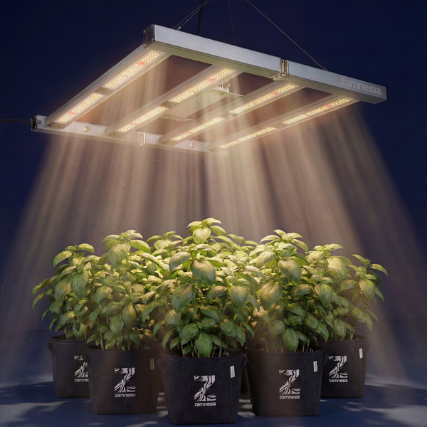 Growbox zestaw 120×120 (Zamnesia)