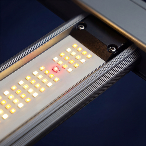 Phytonaut Lampa LED Grow 480 W (Zamnesia)