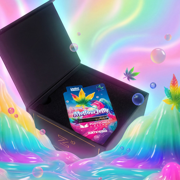 Mellow Jelly (Positronics Seeds x Zamnesia Seeds) feminizowane