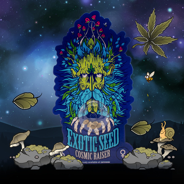 Cosmic Raiser (Exotic Seed) feminizowane