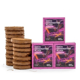 Zestaw Wtyczek Kokosowych do Kiełkowania