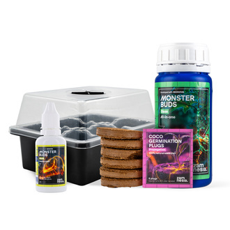 Zestaw Startowy do Feminizowanych