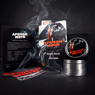 Afghan Noir (Zamnesia Seeds x Expert Seeds) feminizowane