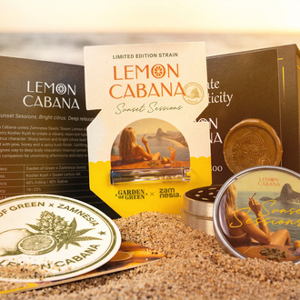 Lemon Cabana (Zamnesia Seeds x Garden of Green) Feminizowane