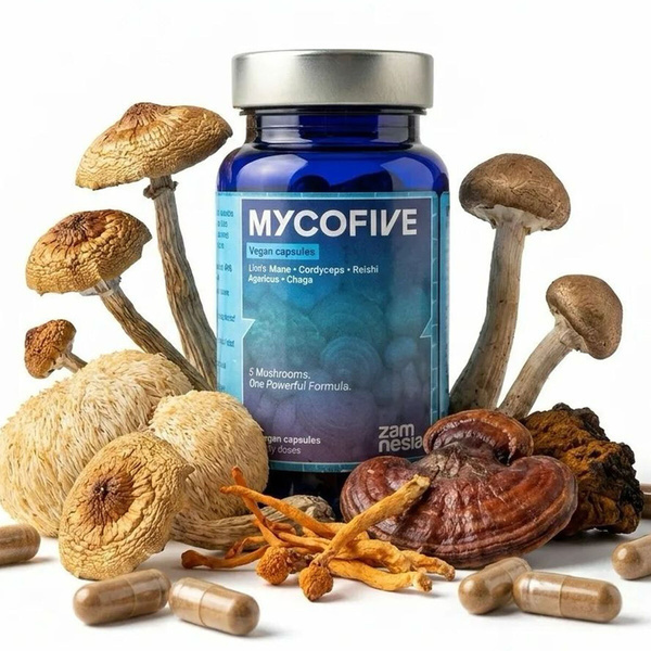 Kapsułki z grzybami MycoFive (Zamnesia)