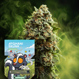 Afghani Skunk Fast Version (Zamnesia Seeds) feminizowane
