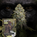 Gorilla Piss Fast Version (Zamnesia Seeds) feminizowane