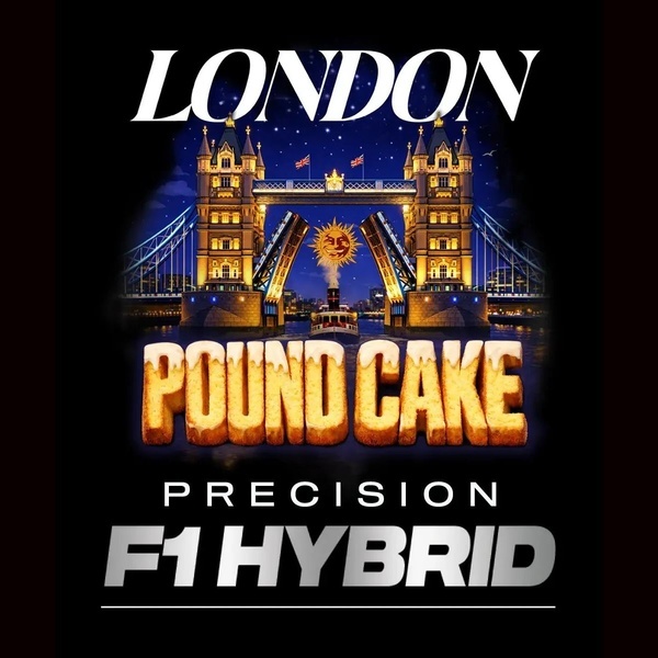 London Pound Cake F1 (Barney's Farm) feminized