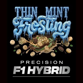 Thin Mint Frosting F1 (Barney's Farm) feminizowane