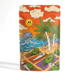 Trippy Toons Z-Lock Stash Bag (Extra Large)