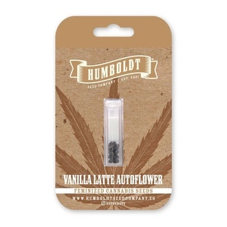 Vanilla Latte Automat (Humboldt Seed Company) Feminizowane