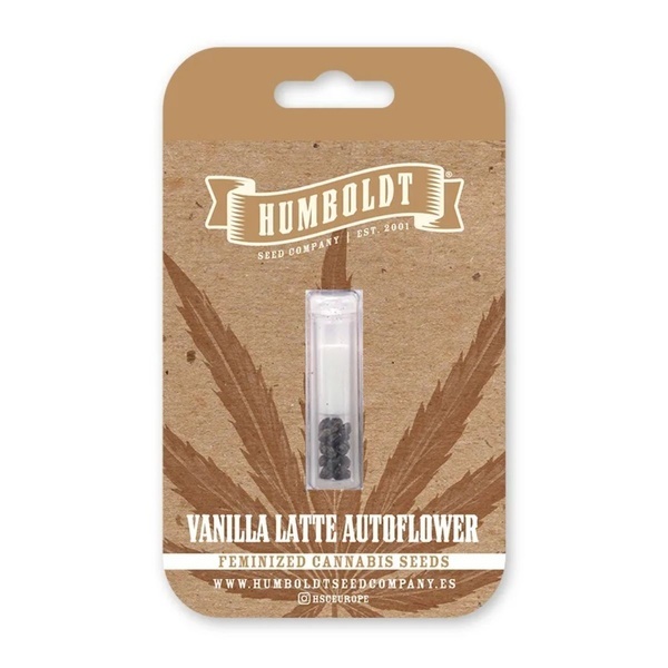 Vanilla Latte Automat (Humboldt Seed Company) Feminizowane