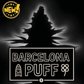 Barcelona Puff Auto (Seedstockers) Feminizowane