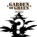 CBD Nasiono Niespodzianka 1 (Garden of Green)
