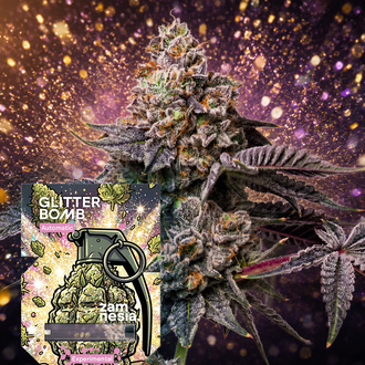 Glitter Bomb Automat (Zamnesia Seeds) Feminizowane