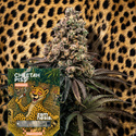 Cheetah Piss Automat (Zamnesia Seeds) Feminizowane