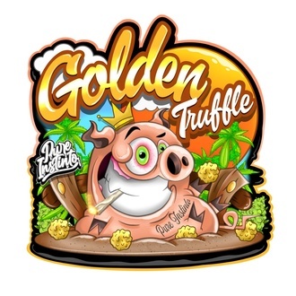 Golden Truffle (Pure Instinto) Feminizowane
