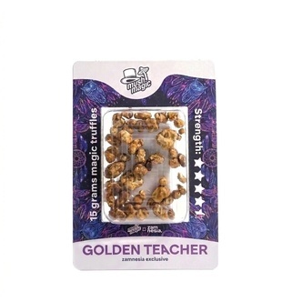 Magiczne trufle Golden Teacher