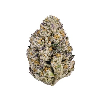 Lemon Cherry Runtz (FastBuds) feminizowane