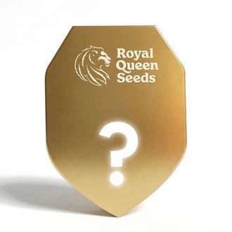 Automat F1 Nasiono Niespodzianka 3 (Royal Queen Seeds)