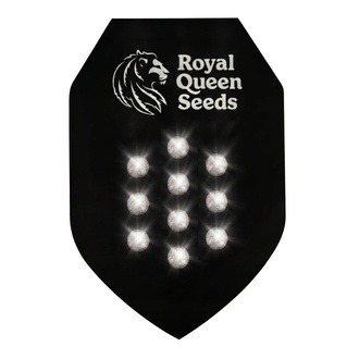Tajemnicze Nasiona Automatyczne 10 (Royal Queen Seeds)