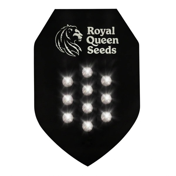 Tajemnicze Nasiona Automatyczne 10 (Royal Queen Seeds)