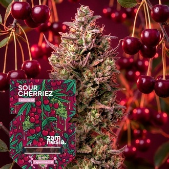 Sour Cherriez (Zamnesia Seeds) Feminizowane