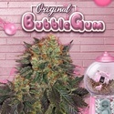 Bubblegum (T.H. Seeds) Feminizowane