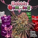 BubbleGummieZ (T.H. Seeds) Feminizowane
