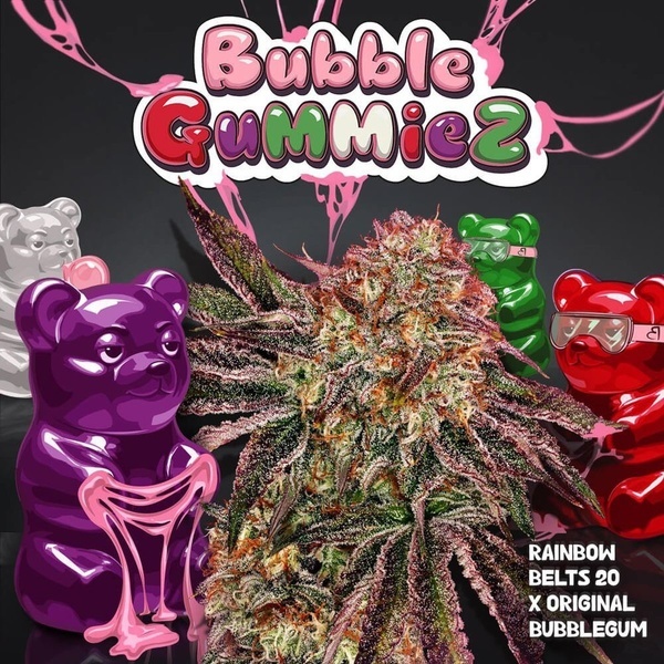 BubbleGummieZ (T.H. Seeds) Feminizowane