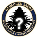 Mystery Nasiona Feminizowane 2 (Advanced Seeds)