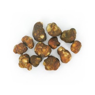 Magiczne trufle Mexicana