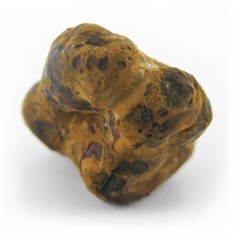 Magiczne trufle Mexicana