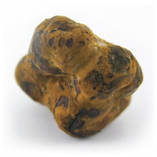 Magiczne trufle Mexicana