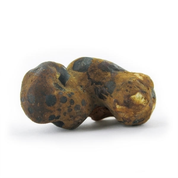 Magiczne trufle Fantasia