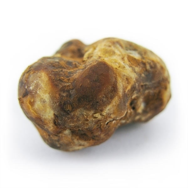 Magiczne trufle Pajaritos