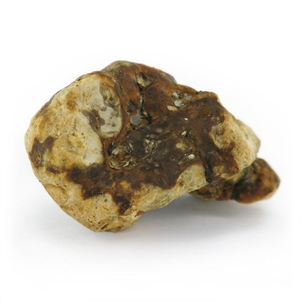 Magiczne trufle Atlantis