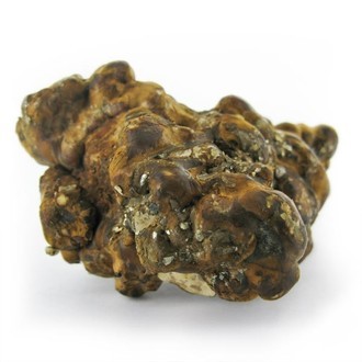 Holandia Magiczne Trufle