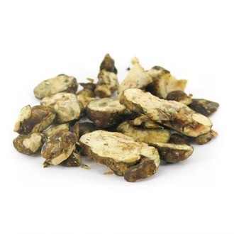 Holandia Magiczne Trufle