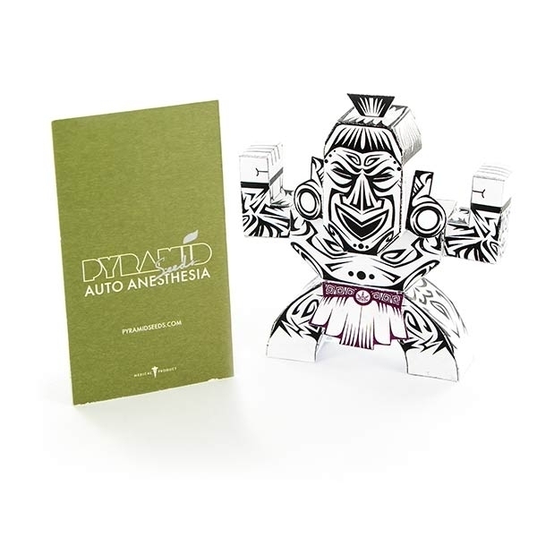 Auto Anesthesia (Pyramid Seeds) feminizowane