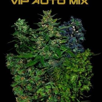 VIP Auto Mix (VIP Seeds) feminizowane