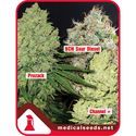 Kolekcja 1 (Medical Seeds) nasiona marihuany feminizowane